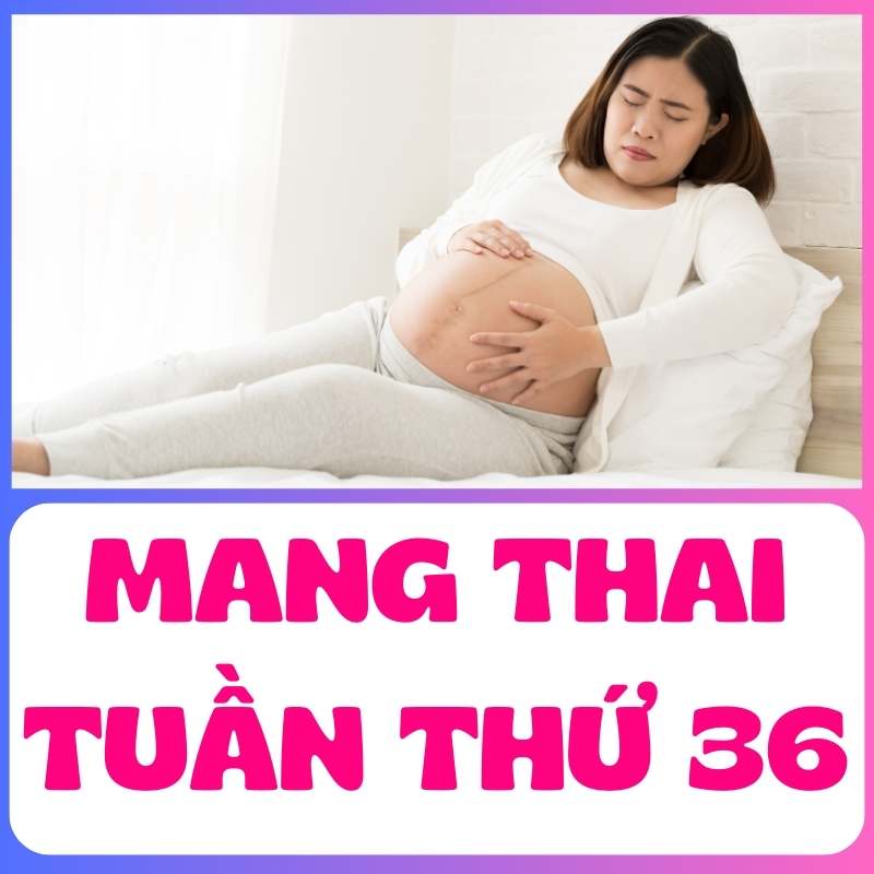 Mệt mỏi khi mang thai tuần thứ 36 